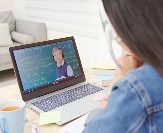 IBDP Math 1 on 1 interactive classes online IB math tutor online